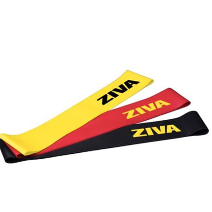 ZIVA 0175 1030x686 1
