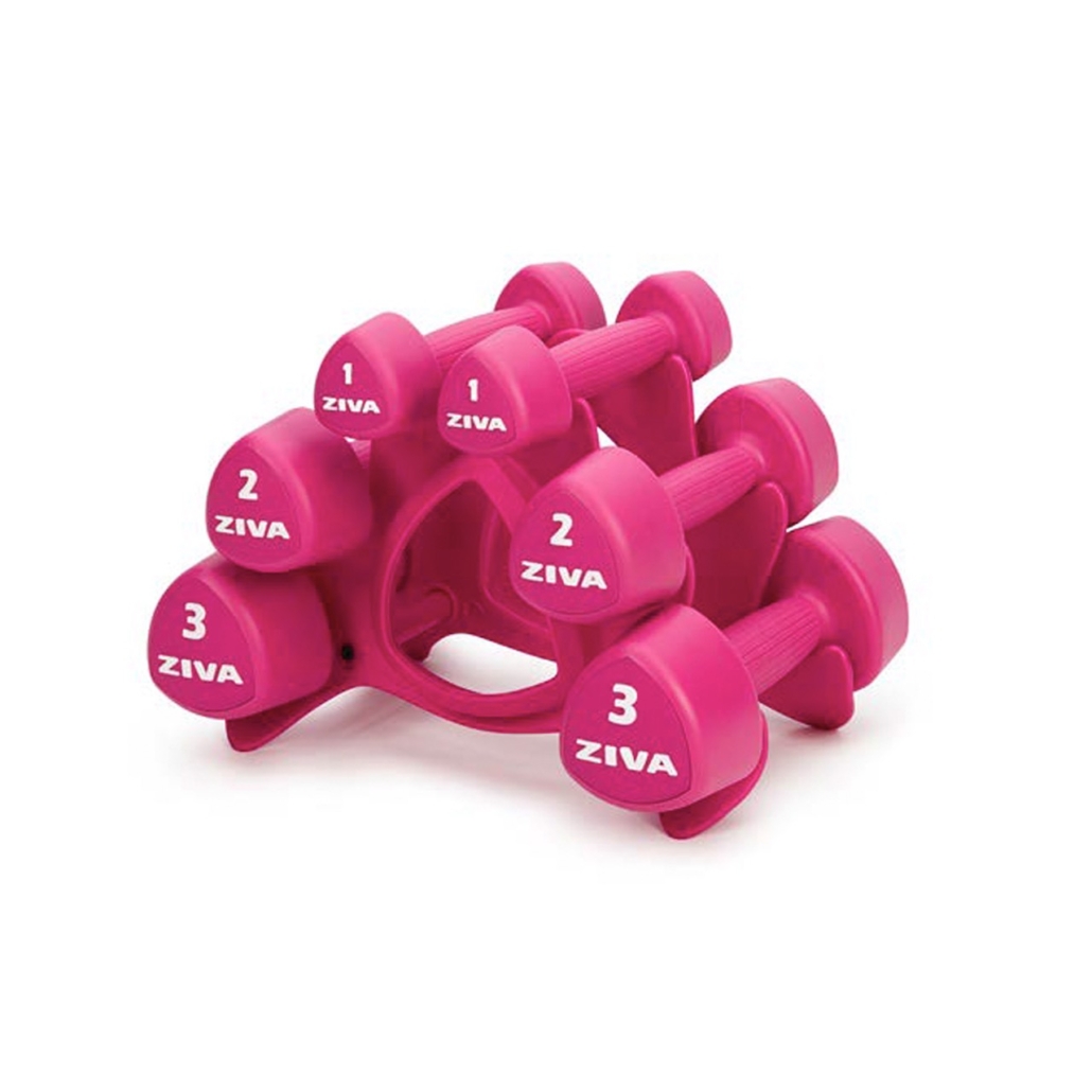 ZIVA-0018-1030x1030-1.jpeg Kit mancuerna estudio ZIVA chic con soporte 12 kg - rosa - Imagen 1