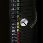 (Dual) Biceps and Triceps - Imagen 3