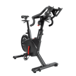 Indoor Bike Falcon - Imagen 3